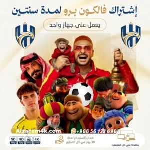 اشتراك فالكون سنتين