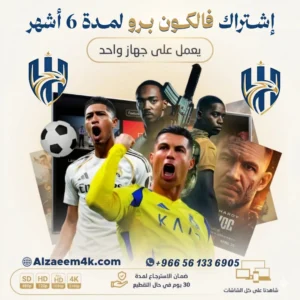 ارخص اشتراك فالكون